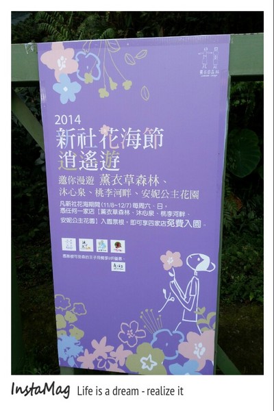 薰衣草森林(新社店)：【台中景點】來趟森林中的旋轉木馬及野宴吧~台中新社薰衣草森林