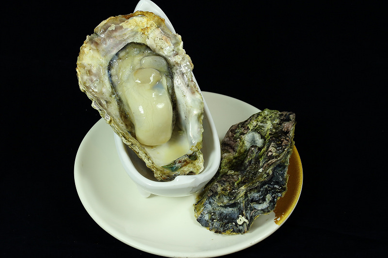 21059657074_ad122af23e_k