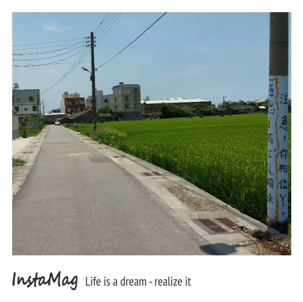 梧棲興農里彩繪村：【台中景點】明竹壇彩繪村