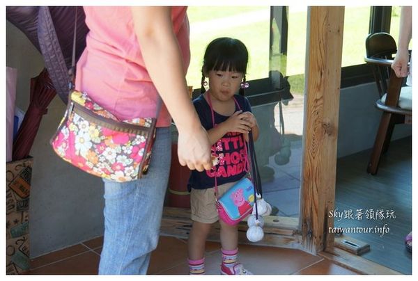 夏洛克Villa民宿：吉安鄉超美【夏洛克Villa民宿】