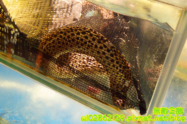 東悅坊港式飲茶:【台南-永康區】氣氛x港茶...秋天進補的好時機~《東悅坊港式飲茶》