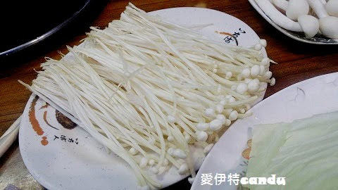 12036715_1071961439480702_8226243148635345692_n