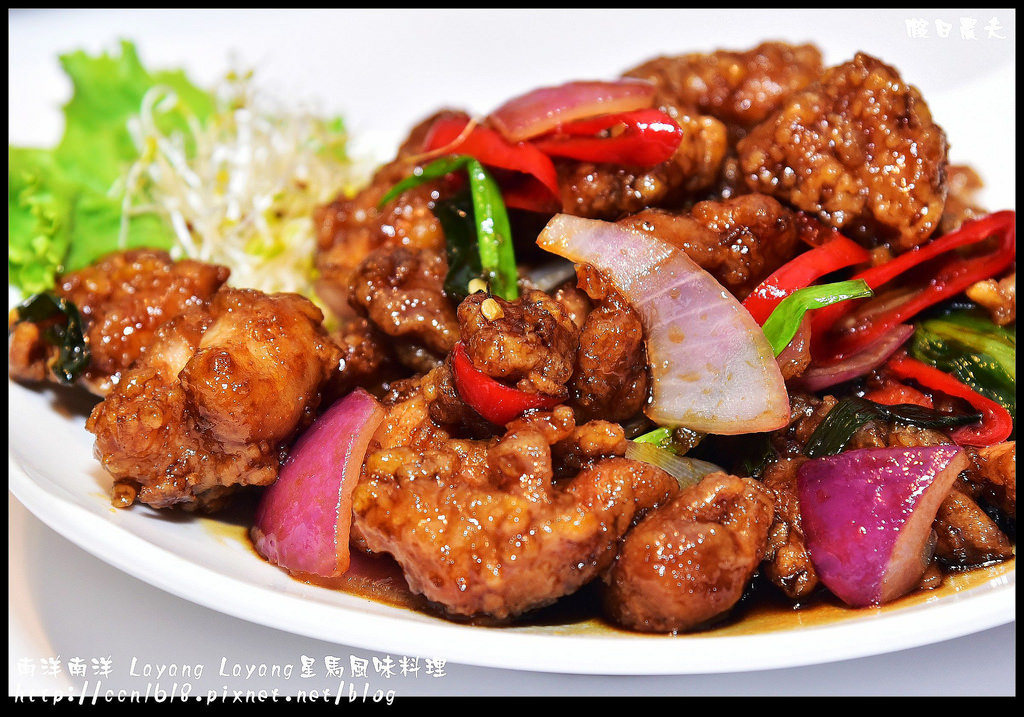 南洋南洋 Layang Layang星馬風味料理DSC_8920