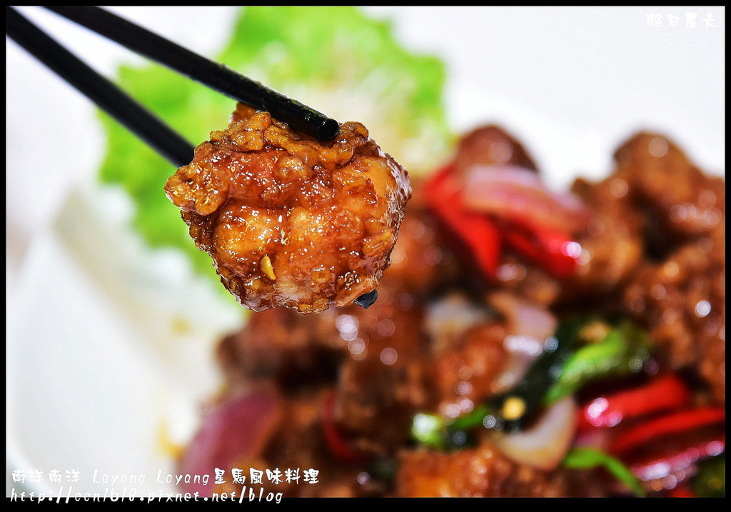 南洋南洋 Layang Layang星馬風味料理DSC_8917