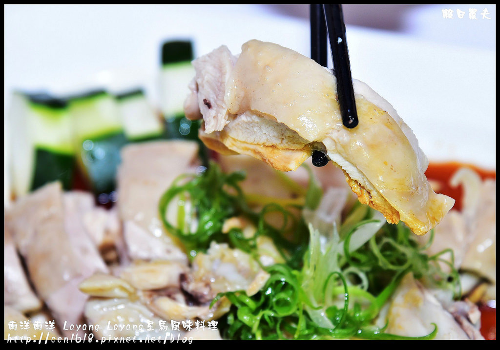 南洋南洋 Layang Layang星馬風味料理DSC_8909