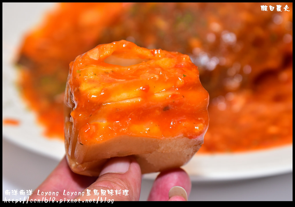南洋南洋 Layang Layang星馬風味料理DSC_8945