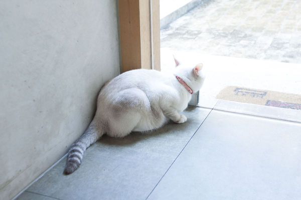 倉庫咖啡(大溪) - 1