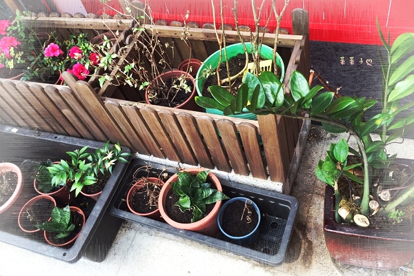 cm20150924___404b31e85a2d225069073accb12