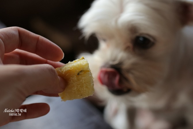 寵物友善餐廳│新竹東區美食│薪石窯~日式建築新竹十大伴手禮窯燒麵包及pizza製作體驗32