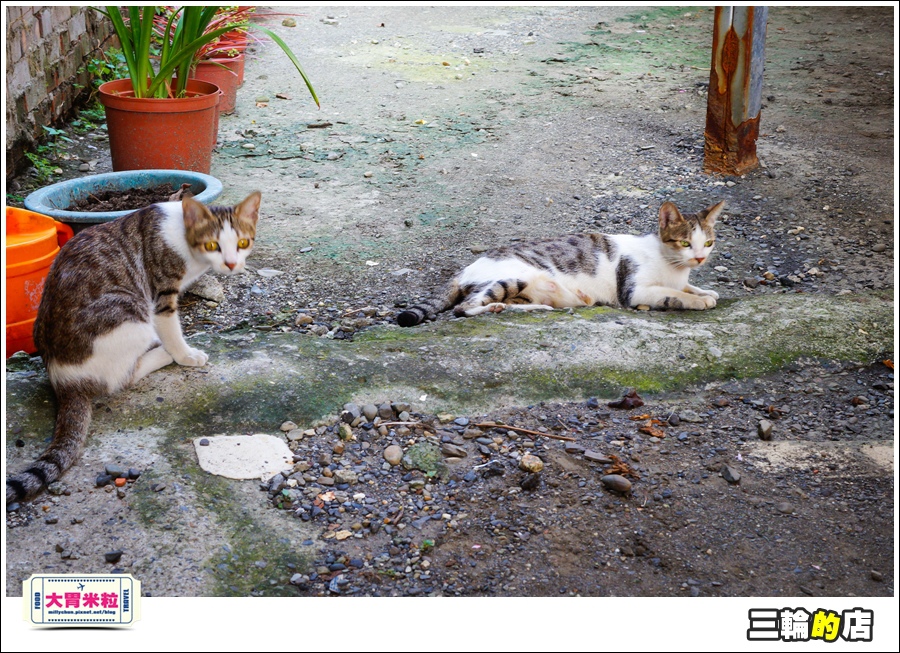 三輪的店@大胃米粒0029.jpg