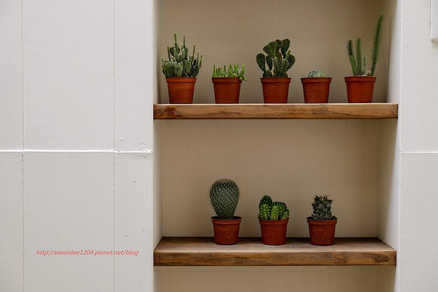 12140627_999657553388564_5763865087646041771_n