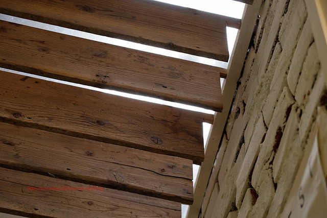 12079039_999657360055250_5467235511944829577_n