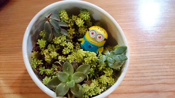 Ming's Coffee Playroom 瞇瞇眼自家烘焙咖啡館:【瞇瞇眼自家烘焙咖啡館】早起的孩子有咖啡喝 體驗澳洲墨爾本的生活風格