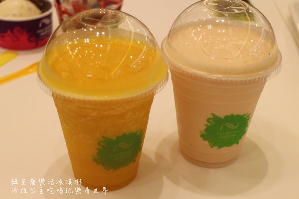 紐芝蘭樂活冰淇淋New Zealand Natural(台北忠孝SOGO店):忠孝復興捷運美食/紐芝蘭樂活冰淇淋『New Zealand Natural』低脂的喔