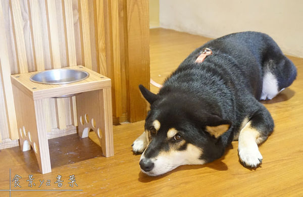 MACHIYA cafe 町家咖啡:【食記】台中西區-町家珈啡。抹茶控必訪且有可愛店狗的日式咖啡廳||抹茶霜淇淋|抹茶刨冰|宇治金時||