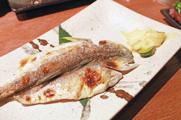 【板橋餐廳】隱居居酒屋-日式串燒料理居酒屋-新埔捷運站