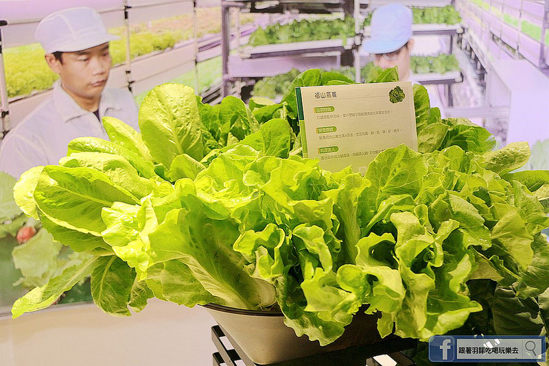 源鮮智慧農場040