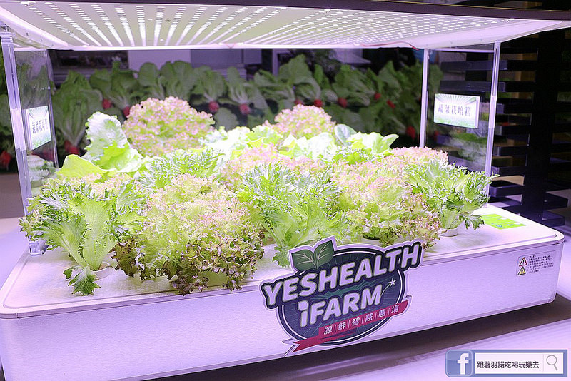 源鮮智慧農場027