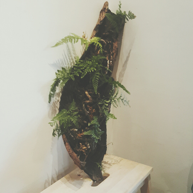 B612-2015-11-25-15-26-05