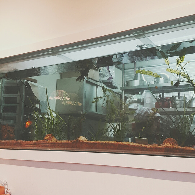 B612-2015-11-25-15-27-19