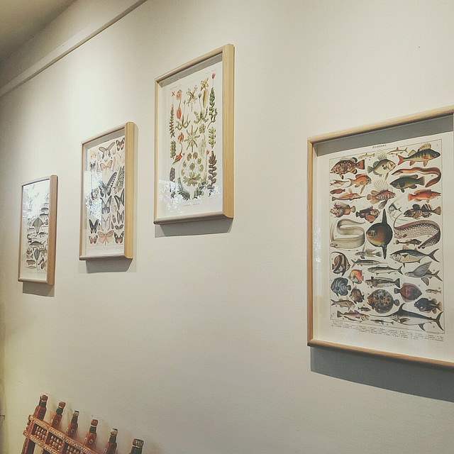 B612-2015-11-25-14-47-09