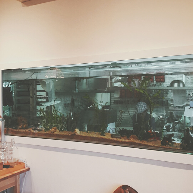 B612-2015-11-25-14-47-34