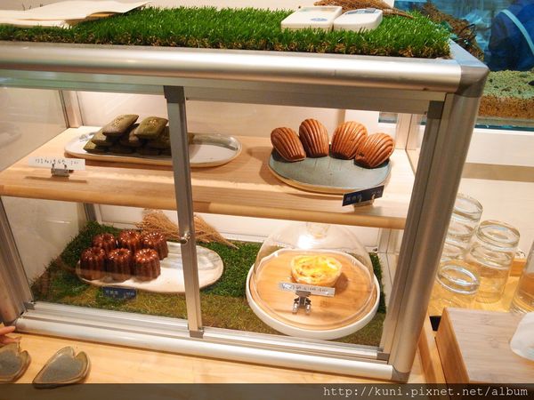 GRD3 08112015 河床 (3).JPG