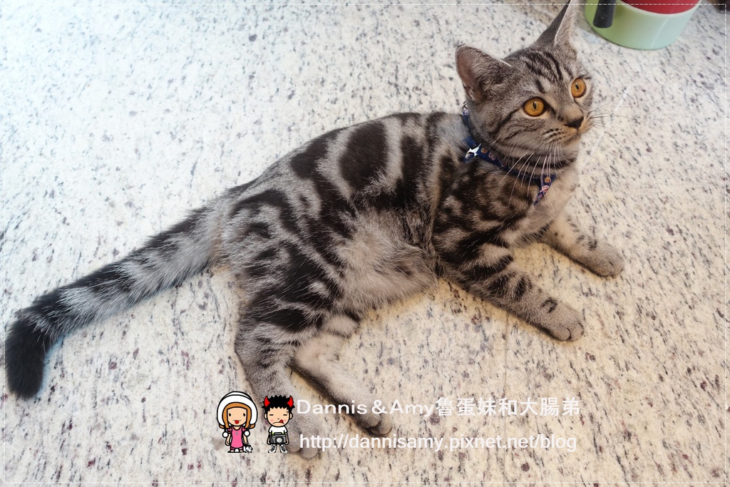 Carefree 幸福的味道  (32).jpg