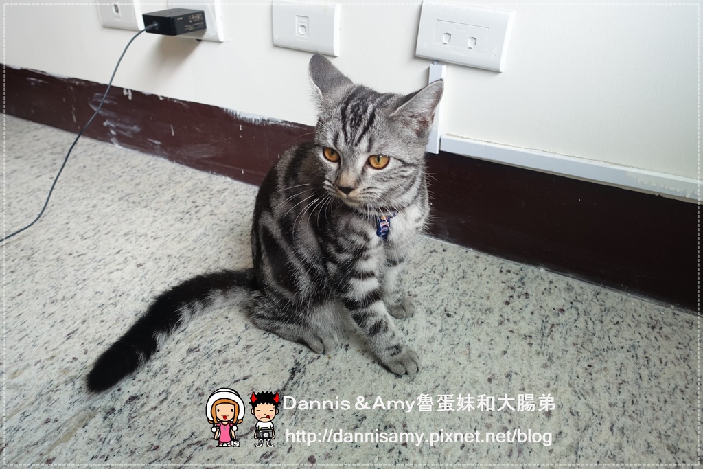 Carefree 幸福的味道  (30).jpg