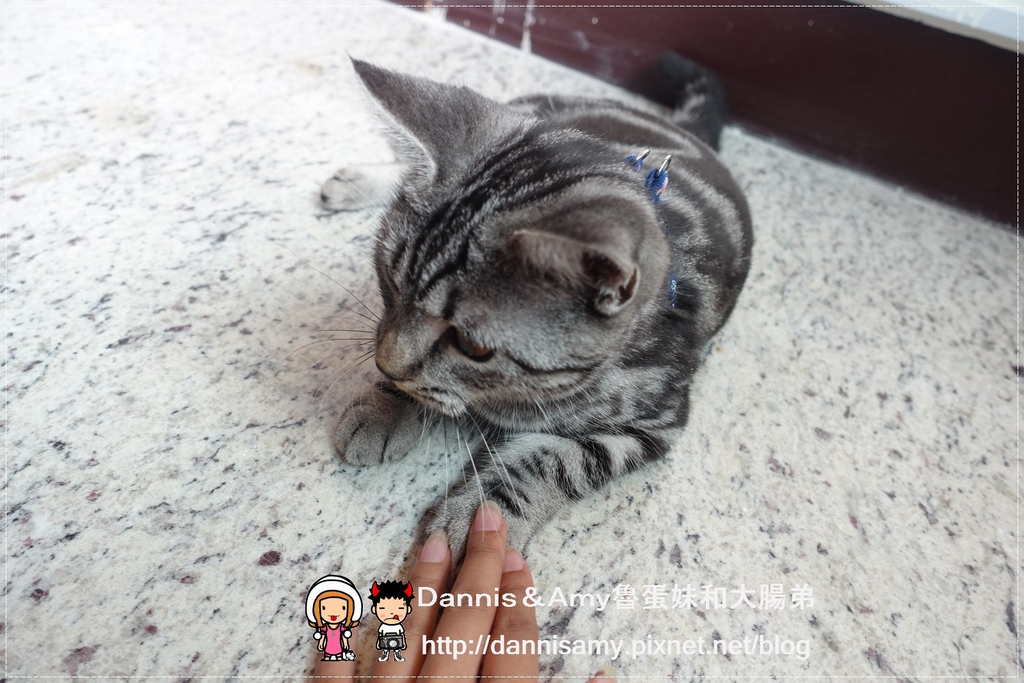 Carefree 幸福的味道  (31).jpg