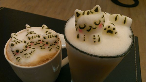 咕嚕貓咖啡_7258