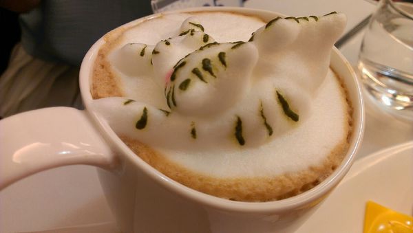 咕嚕貓咖啡_1009