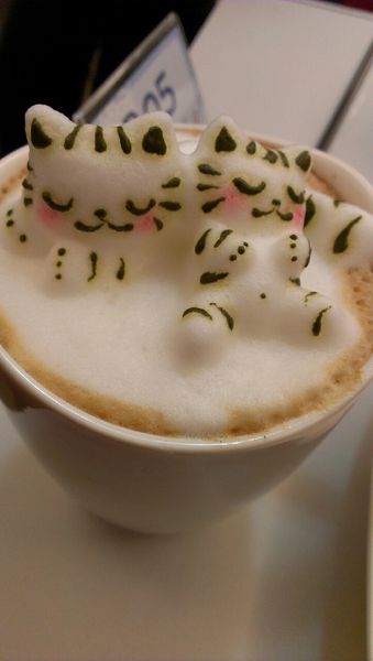 咕嚕貓咖啡_6193