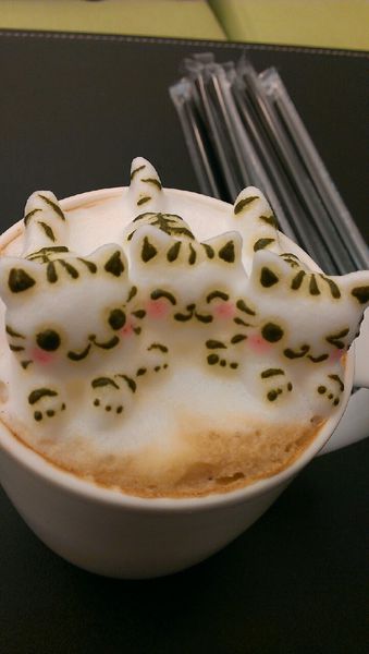 咕嚕貓咖啡_8985