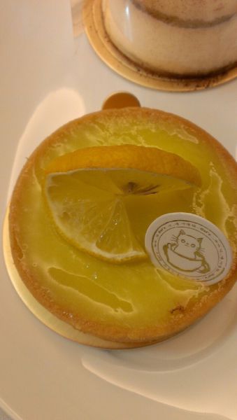 咕嚕貓咖啡_8132