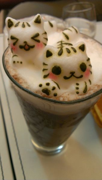 咕嚕貓咖啡_9365