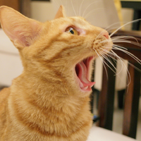 前往 胡小瑪 的 styleMe 個人頁