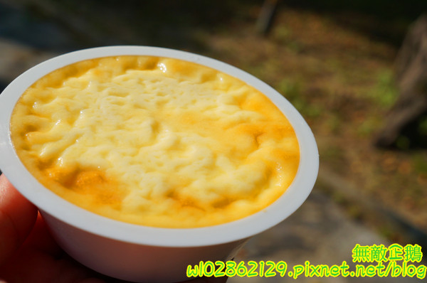 方蘭川焦皮布丁：【台南-安平區】焦皮x布丁...不加鮮奶油的好滋味~古早味布丁!《方蘭川焦皮布丁》