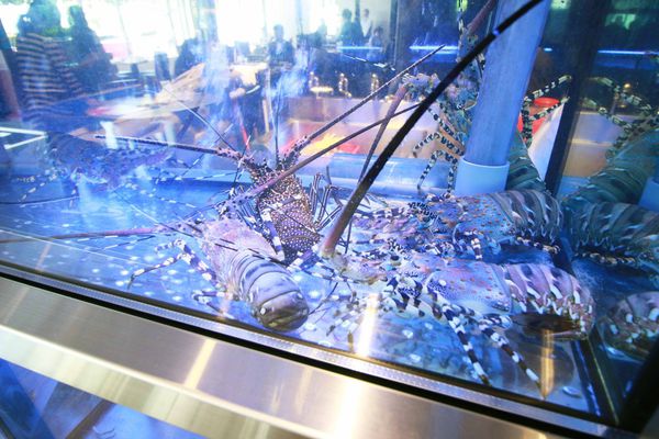 【林口餐廳】好日子餐廳-家庭聚餐、婚宴好選擇