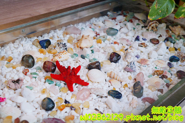 Mr. Deer:【台南-東區】平價x甜點...少女心裝潢~日本進口拿破崙麵粉/安佳無鹽奶油/義大利冷壓初榨橄欖油《Mr. Deer》