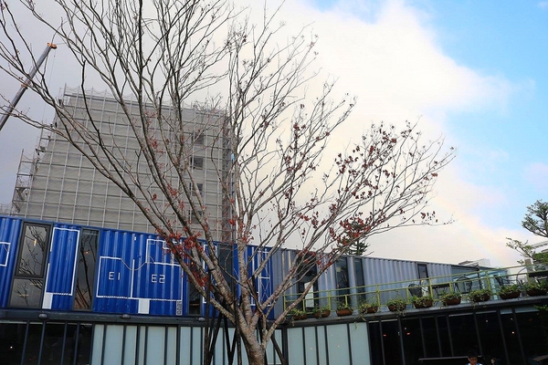 阿達阿永咖啡廳:【台北食記】ERC Cafe阿達阿永咖啡廳~女孩兒們別錯過.貨櫃屋玻璃餐廳/文青潮流兼具很適合拍MV或外拍場景