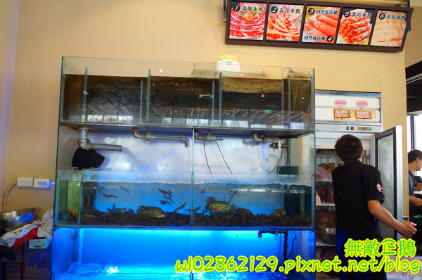 XM麻辣鍋(湖美旗艦店)：【台南-中西區】吃到飽x活跳跳海鮮...跟著無敵企鵝一起吃‧到‧爽~《XM麻辣鍋》