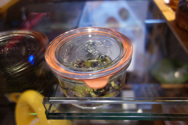 Cronutt 可拿滋台南 (17).JPG