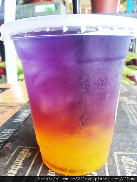 極光冰茶_2973.jpg