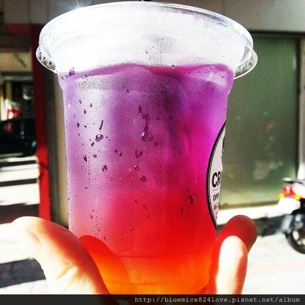 極光冰茶_6078.jpg