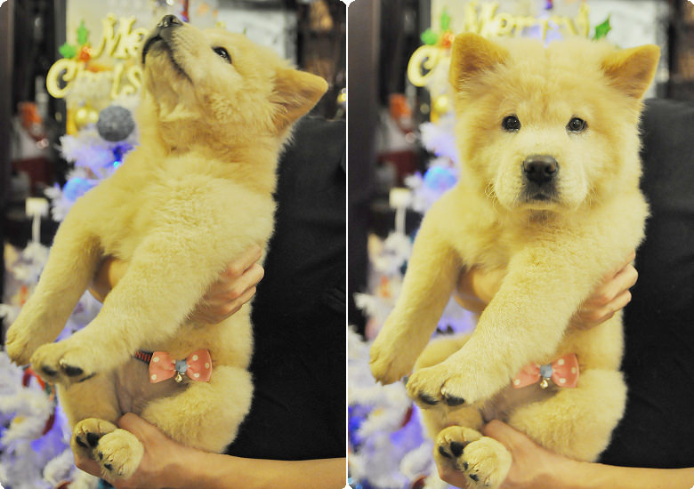 東海藝術街故事咖啡館01