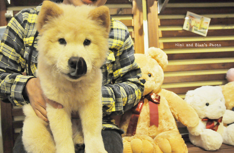 東海藝術街故事咖啡館36