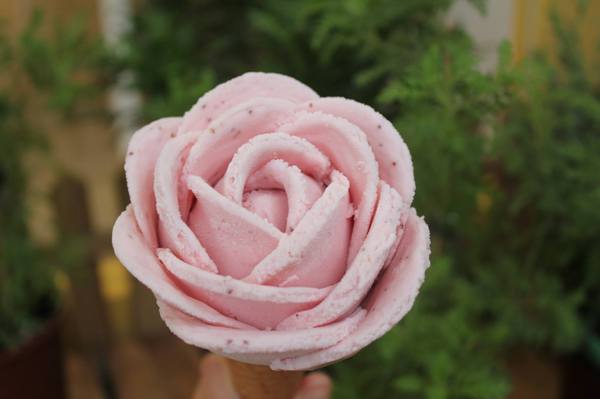 布達佩斯冰淇淋:〖台中│美食〗布達佩斯冰淇淋 ❤ 史上最美的冰淇淋!!堅持使用新鮮水果與百分百純鮮奶手工製作,再遠也要回訪的玫瑰花冰淇淋!!