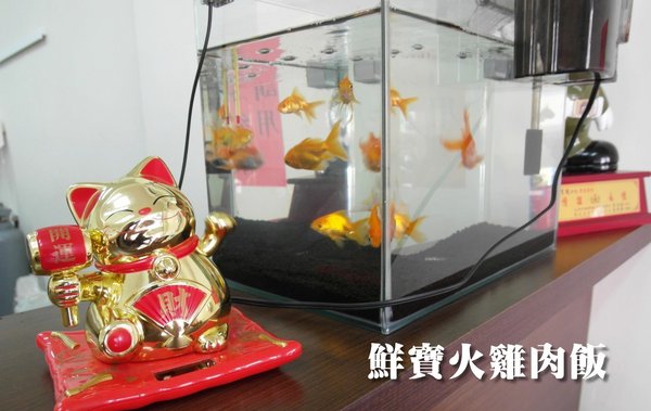 鮮寶火雞肉飯：【台南||東區】鮮寶火雞肉飯，日式醬汁～只有好吃沒有其他！