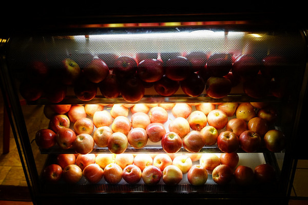 Hornet大黃蜂主題餐廳：Hornet大黃蜂主題餐廳-隱身國際級的圖書館裡-夜色佳美食好